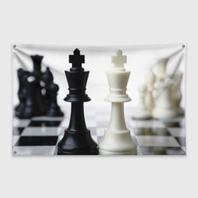 Флаг-баннер с принтом Шахматы , 100% полиэстер | размер 67 х 109 см, плотность ткани — 95 г/м2; по краям флага есть четыре люверса для крепления | Тематика изображения на принте: белая | черная | шахматы
