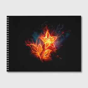 Альбом для рисования с принтом Огненный цветок , 100% бумага
 | матовая бумага, плотность 200 мг. | звезда | искры | огненный цветок | огонь | пламя | пожар