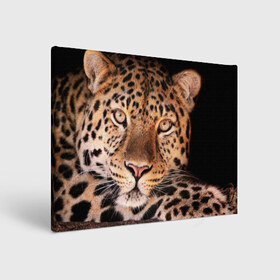 Холст прямоугольный с принтом Леопард , 100% ПВХ |  | Тематика изображения на принте: гепард | грация | дикая кошка | добыча | животные | леопард | ловкость | опасность | пятна | хищник | ягуар