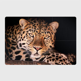 Магнитный плакат 3Х2 с принтом Леопард , Полимерный материал с магнитным слоем | 6 деталей размером 9*9 см | гепард | грация | дикая кошка | добыча | животные | леопард | ловкость | опасность | пятна | хищник | ягуар