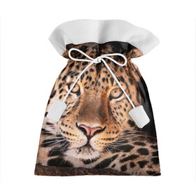 Подарочный 3D мешок с принтом Леопард , 100% полиэстер | Размер: 29*39 см | Тематика изображения на принте: гепард | грация | дикая кошка | добыча | животные | леопард | ловкость | опасность | пятна | хищник | ягуар