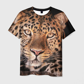 Мужская футболка 3D с принтом Леопард , 100% полиэфир | прямой крой, круглый вырез горловины, длина до линии бедер | гепард | грация | дикая кошка | добыча | животные | леопард | ловкость | опасность | пятна | хищник | ягуар