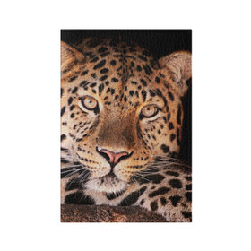 Обложка для паспорта матовая кожа с принтом Леопард , натуральная матовая кожа | размер 19,3 х 13,7 см; прозрачные пластиковые крепления | гепард | грация | дикая кошка | добыча | животные | леопард | ловкость | опасность | пятна | хищник | ягуар