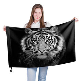 Флаг 3D с принтом Красавец тигр , 100% полиэстер | плотность ткани — 95 г/м2, размер — 67 х 109 см. Принт наносится с одной стороны | джунгли | дикая кошка | животные | зверь | король | кровь | мясо | опасность | охотник | тигр | хищник | царь | цирк