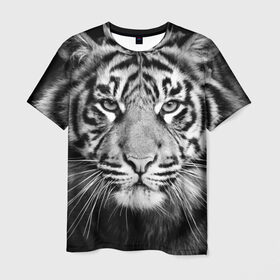 Мужская футболка 3D с принтом Красавец тигр , 100% полиэфир | прямой крой, круглый вырез горловины, длина до линии бедер | джунгли | дикая кошка | животные | зверь | король | кровь | мясо | опасность | охотник | тигр | хищник | царь | цирк