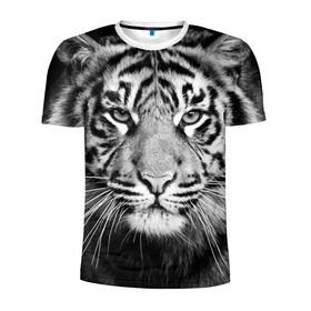 Мужская футболка 3D спортивная с принтом Красавец тигр , 100% полиэстер с улучшенными характеристиками | приталенный силуэт, круглая горловина, широкие плечи, сужается к линии бедра | джунгли | дикая кошка | животные | зверь | король | кровь | мясо | опасность | охотник | тигр | хищник | царь | цирк