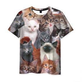 Мужская футболка 3D с принтом Котики , 100% полиэфир | прямой крой, круглый вырез горловины, длина до линии бедер | cat | cats | кот | котик | коты | котята