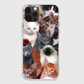 Чехол для iPhone 12 Pro Max с принтом Котики , Силикон |  | cat | cats | кот | котик | коты | котята