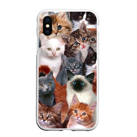 Чехол для iPhone XS Max матовый с принтом Котики , Силикон | Область печати: задняя сторона чехла, без боковых панелей | cat | cats | кот | котик | коты | котята