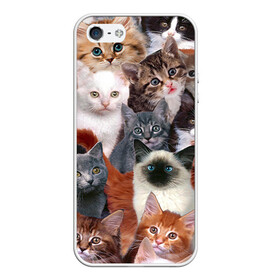 Чехол для iPhone 5/5S матовый с принтом Котики , Силикон | Область печати: задняя сторона чехла, без боковых панелей | cat | cats | кот | котик | коты | котята
