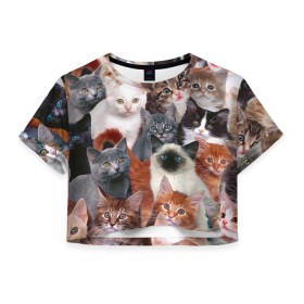 Женская футболка 3D укороченная с принтом Котики , 100% полиэстер | круглая горловина, длина футболки до линии талии, рукава с отворотами | cat | cats | кот | котик | коты | котята