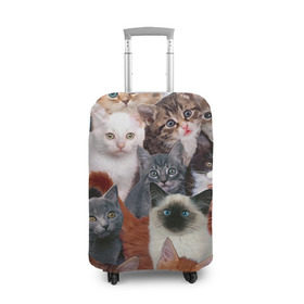 Чехол для чемодана 3D с принтом Котики , 86% полиэфир, 14% спандекс | двустороннее нанесение принта, прорези для ручек и колес | cat | cats | кот | котик | коты | котята