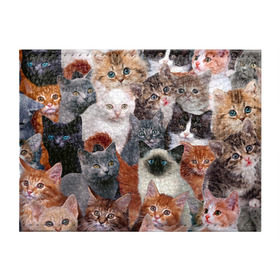 Обложка для студенческого билета с принтом Котики , натуральная кожа | Размер: 11*8 см; Печать на всей внешней стороне | cat | cats | кот | котик | коты | котята