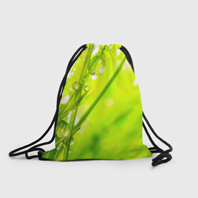 Рюкзак-мешок 3D с принтом Макро , 100% полиэстер | плотность ткани — 200 г/м2, размер — 35 х 45 см; лямки — толстые шнурки, застежка на шнуровке, без карманов и подкладки | Тематика изображения на принте: зеленая | капля | природа
