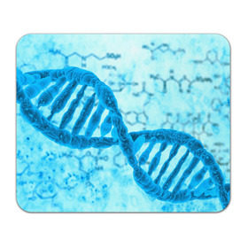 Коврик прямоугольный с принтом ДНК , натуральный каучук | размер 230 х 185 мм; запечатка лицевой стороны | абстракция | биология | днк | молекула | синяя.цепочка | формула