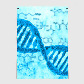 Постер с принтом ДНК , 100% бумага
 | бумага, плотность 150 мг. Матовая, но за счет высокого коэффициента гладкости имеет небольшой блеск и дает на свету блики, но в отличии от глянцевой бумаги не покрыта лаком | абстракция | биология | днк | молекула | синяя.цепочка | формула