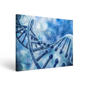 Холст прямоугольный с принтом Молекула ДНК , 100% ПВХ |  | dna | биохимия | внешность | ген | генетика | днк | молекула | наследственность | спираль | способности | структура | характер | черты