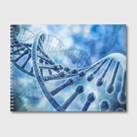 Альбом для рисования с принтом Молекула ДНК , 100% бумага
 | матовая бумага, плотность 200 мг. | dna | биохимия | внешность | ген | генетика | днк | молекула | наследственность | спираль | способности | структура | характер | черты