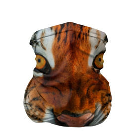 Бандана-труба 3D с принтом Амурский тигр , 100% полиэстер, ткань с особыми свойствами — Activecool | плотность 150‒180 г/м2; хорошо тянется, но сохраняет форму | амур | голова | животные | кошка | оскал | тигр