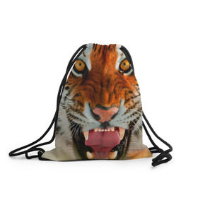 Рюкзак-мешок 3D с принтом Амурский тигр , 100% полиэстер | плотность ткани — 200 г/м2, размер — 35 х 45 см; лямки — толстые шнурки, застежка на шнуровке, без карманов и подкладки | Тематика изображения на принте: амур | голова | животные | кошка | оскал | тигр