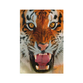 Обложка для паспорта матовая кожа с принтом Амурский тигр , натуральная матовая кожа | размер 19,3 х 13,7 см; прозрачные пластиковые крепления | амур | голова | животные | кошка | оскал | тигр