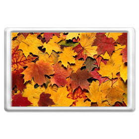 Магнит 45*70 с принтом Осень на дворе , Пластик | Размер: 78*52 мм; Размер печати: 70*45 | бордовый | жёлтый | красный | листва | листья