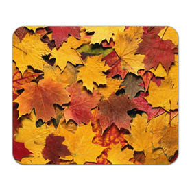 Коврик прямоугольный с принтом Осень на дворе , натуральный каучук | размер 230 х 185 мм; запечатка лицевой стороны | Тематика изображения на принте: бордовый | жёлтый | красный | листва | листья