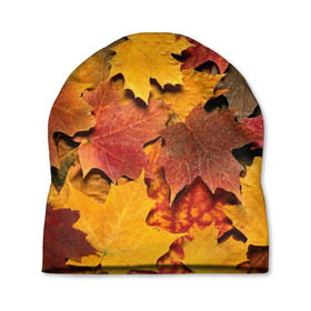 Шапка 3D с принтом Осень на дворе , 100% полиэстер | универсальный размер, печать по всей поверхности изделия | бордовый | жёлтый | красный | листва | листья