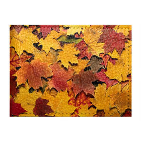 Обложка для студенческого билета с принтом Осень на дворе , натуральная кожа | Размер: 11*8 см; Печать на всей внешней стороне | Тематика изображения на принте: бордовый | жёлтый | красный | листва | листья