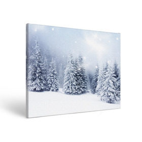 Холст прямоугольный с принтом Зимняя пора , 100% ПВХ |  | Тематика изображения на принте: вьюга | горы | зима | лес | метель | мороз | пейзаж | пурга | снег | снегопад | сосулька | стужа | сугроб | холод