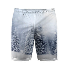 Мужские шорты 3D спортивные с принтом Зимняя пора ,  |  | вьюга | горы | зима | лес | метель | мороз | пейзаж | пурга | снег | снегопад | сосулька | стужа | сугроб | холод