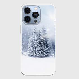 Чехол для iPhone 13 Pro с принтом Зимняя пора ,  |  | вьюга | горы | зима | лес | метель | мороз | пейзаж | пурга | снег | снегопад | сосулька | стужа | сугроб | холод