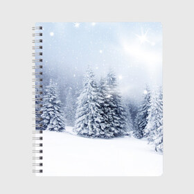 Тетрадь с принтом Зимняя пора , 100% бумага | 48 листов, плотность листов — 60 г/м2, плотность картонной обложки — 250 г/м2. Листы скреплены сбоку удобной пружинной спиралью. Уголки страниц и обложки скругленные. Цвет линий — светло-серый
 | Тематика изображения на принте: вьюга | горы | зима | лес | метель | мороз | пейзаж | пурга | снег | снегопад | сосулька | стужа | сугроб | холод