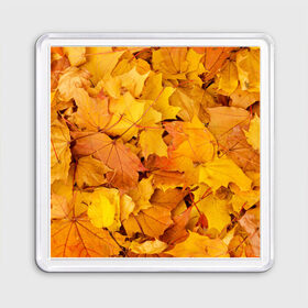 Магнит 55*55 с принтом Золотая листва , Пластик | Размер: 65*65 мм; Размер печати: 55*55 мм | жёлтый осень | золото | листья