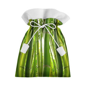 Подарочный 3D мешок с принтом Бамбук , 100% полиэстер | Размер: 29*39 см | бамбук | зеленая | растения