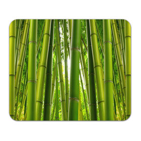 Коврик прямоугольный с принтом Бамбук , натуральный каучук | размер 230 х 185 мм; запечатка лицевой стороны | бамбук | зеленая | растения