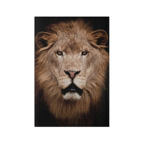 Обложка для паспорта матовая кожа с принтом Царь зверей , натуральная матовая кожа | размер 19,3 х 13,7 см; прозрачные пластиковые крепления | Тематика изображения на принте: власть | дикая кошка | животное | король джунглей | лев | львица | мощь | мудрость | охотник | сила | хитрость | хищник | царь зверей
