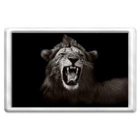 Магнит 45*70 с принтом Разъярённый лев , Пластик | Размер: 78*52 мм; Размер печати: 70*45 | власть | дикая кошка | животное | король джунглей | лев | львица | мощь | мудрость | охотник | сила | хитрость | хищник | царь зверей