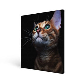 Холст квадратный с принтом Милый котик , 100% ПВХ |  | кошка | темный | фото