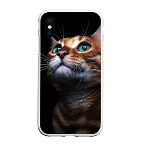 Чехол для iPhone XS Max матовый с принтом Милый котик , Силикон | Область печати: задняя сторона чехла, без боковых панелей | кошка | темный | фото