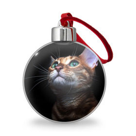 Ёлочный шар с принтом Милый котик , Пластик | Диаметр: 77 мм | Тематика изображения на принте: кошка | темный | фото