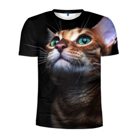 Мужская футболка 3D спортивная с принтом Милый котик , 100% полиэстер с улучшенными характеристиками | приталенный силуэт, круглая горловина, широкие плечи, сужается к линии бедра | кошка | темный | фото