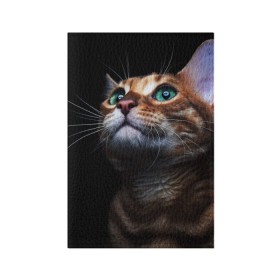 Обложка для паспорта матовая кожа с принтом Милый котик , натуральная матовая кожа | размер 19,3 х 13,7 см; прозрачные пластиковые крепления | Тематика изображения на принте: кошка | темный | фото