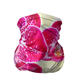 Бандана-труба 3D с принтом Красивые цветы , 100% полиэстер, ткань с особыми свойствами — Activecool | плотность 150‒180 г/м2; хорошо тянется, но сохраняет форму | божественный | букет | великолепный | восхитительный | душистый аромат | красивый | красота | невероятный | неописуемый | приятный запах | растение | фауна | цветок | цветы | шикарный