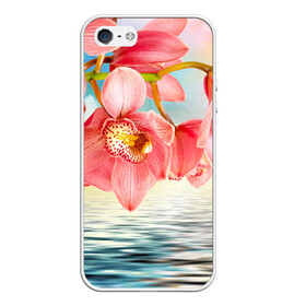 Чехол для iPhone 5/5S матовый с принтом Цветы над водой , Силикон | Область печати: задняя сторона чехла, без боковых панелей | букет | вода | душистый аромат | озеро | приятный запах | пруд | растение | цветок | цветы