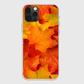 Чехол для iPhone 12 Pro Max с принтом Кленовые листья , Силикон |  | Тематика изображения на принте: дары осени | жёлтый | золотой | клён | краски | красный | красота | листва | листья | наряд | оранжевый | осень | покров | природа