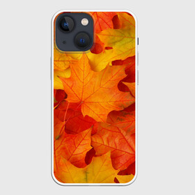 Чехол для iPhone 13 mini с принтом Кленовые листья ,  |  | дары осени | жёлтый | золотой | клён | краски | красный | красота | листва | листья | наряд | оранжевый | осень | покров | природа