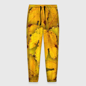 Мужские брюки 3D с принтом Жёлтые листья , 100% полиэстер | манжеты по низу, эластичный пояс регулируется шнурком, по бокам два кармана без застежек, внутренняя часть кармана из мелкой сетки | жёлтый | золотой | клён | красота | листва | листья | наряд | осень | осина | покров | природа
