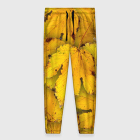 Женские брюки 3D с принтом Жёлтые листья , полиэстер 100% | прямой крой, два кармана без застежек по бокам, с мягкой трикотажной резинкой на поясе и по низу штанин. В поясе для дополнительного комфорта — широкие завязки | жёлтый | золотой | клён | красота | листва | листья | наряд | осень | осина | покров | природа
