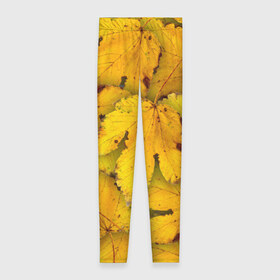 Леггинсы 3D с принтом Жёлтые листья , 80% полиэстер, 20% эластан | Эластичный пояс, зауженные к низу, низкая посадка | жёлтый | золотой | клён | красота | листва | листья | наряд | осень | осина | покров | природа